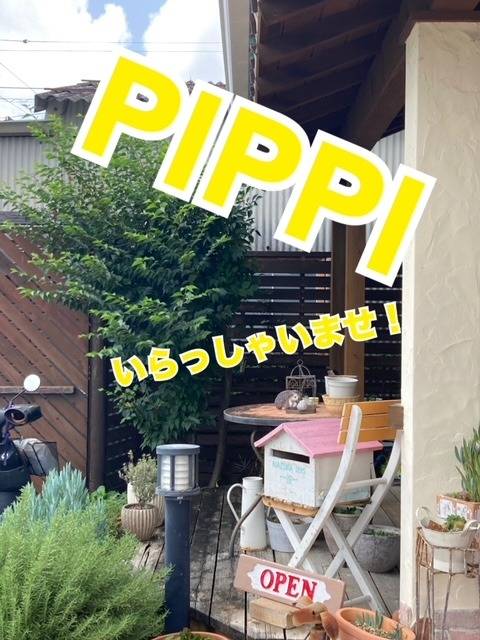 PiPPI