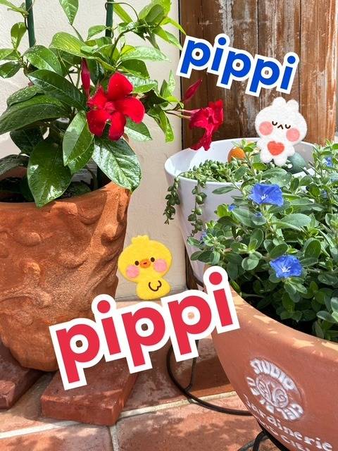 PiPPI