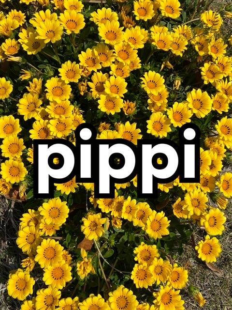 PiPPI