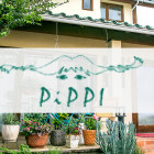 PiPPi