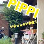 PiPPI